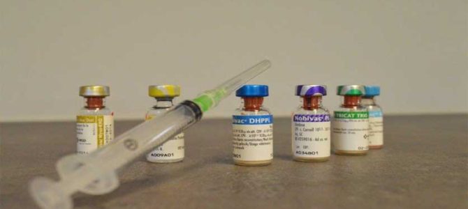 Vaccinaties Suriname Vaccinaties Suriname
