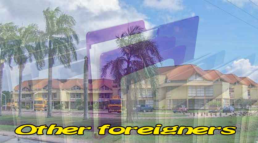 Other-foreigners Suriname