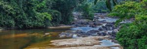 Suriname