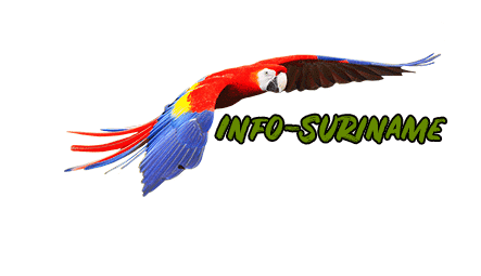 Logo-Info-Suriname_2