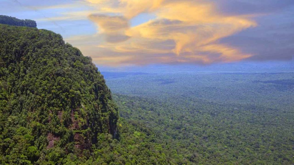 Suriname Tafelberg-Suriname