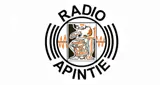 Suriname logo radio Apintie